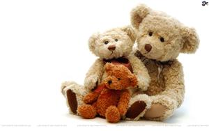 Teddy Bear Day